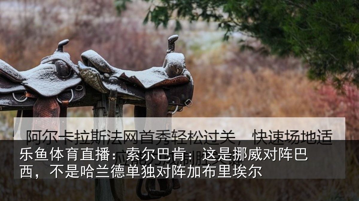 乐鱼体育直播:索尔相关情况巴西相关情况阵加布里埃尔