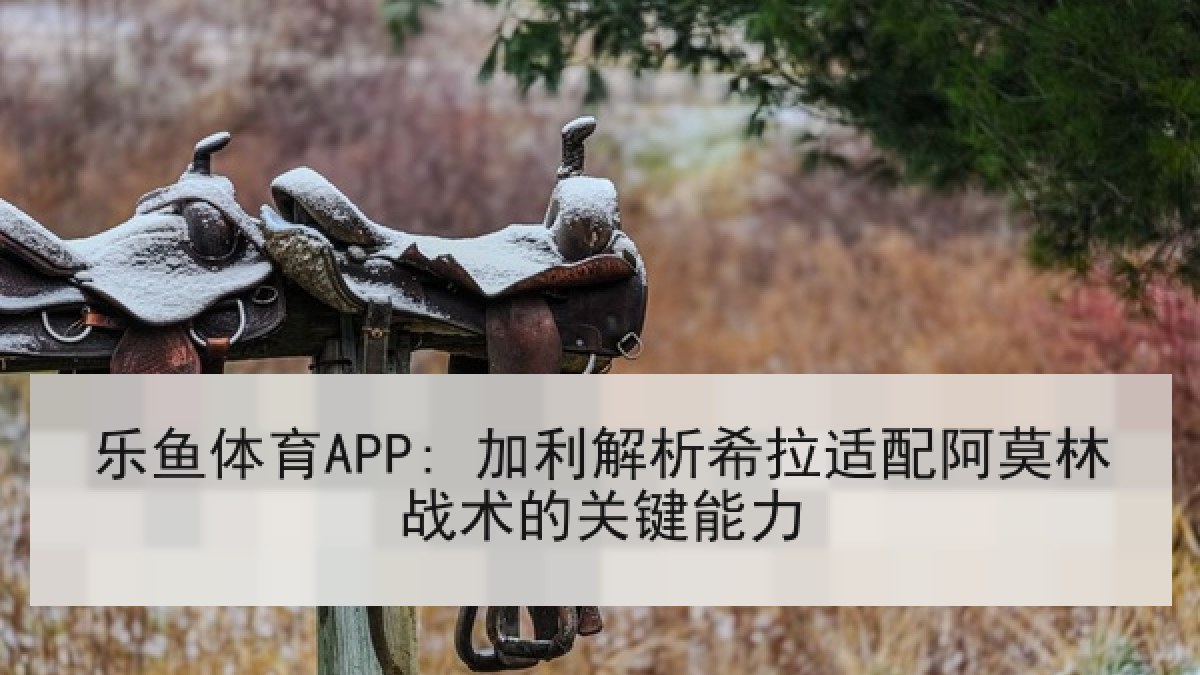 乐鱼体育APP: 加利解析希拉适配阿莫林战术的关键能力 乐鱼体育APP: 加利解析希拉适配阿莫林战术的关键能力