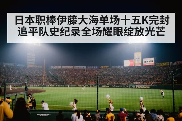 japanese baseball stadium